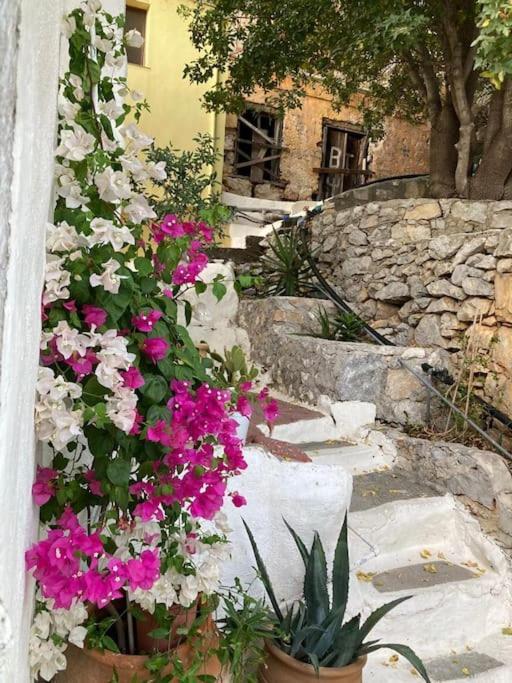 Maison Avec Terrasses Et Vues Symi Exteriör bild