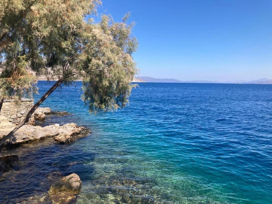 Maison Avec Terrasses Et Vues Symi Exteriör bild
